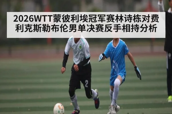 2026WTT蒙彼利埃冠军赛林诗栋对费利克斯勒布伦男单决赛反手相持分析